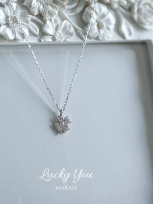 Lucky You
