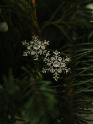 Frozen Earrings