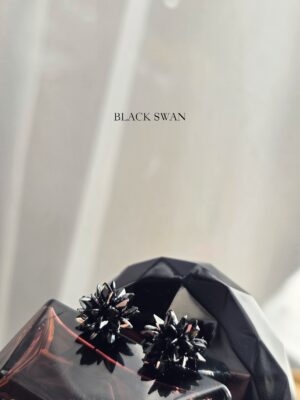 Lights Black Swan
